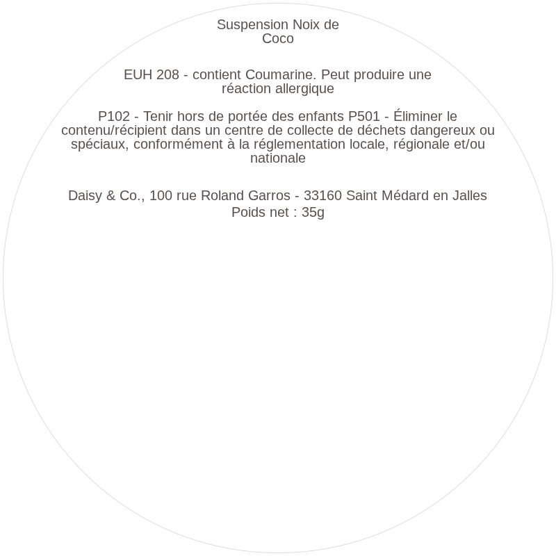 Suspension Noix de Coco