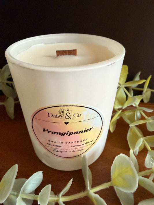 Frangipanier